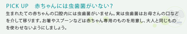 PICK UP　赤ちゃんには虫歯菌がいない？